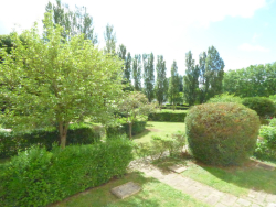photo7