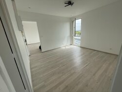 photo2