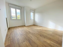 photo6