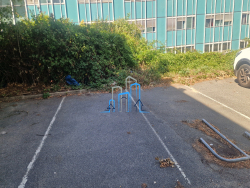 photo6