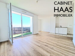 vue-balcon