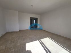 photo17