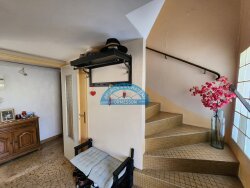 photo7