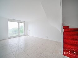 photo2