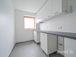 photo4