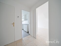 photo6