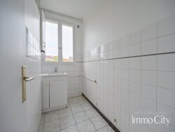 photo7