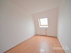 photo7