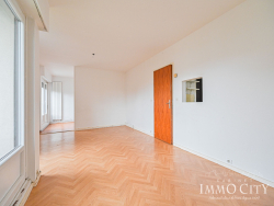photo8