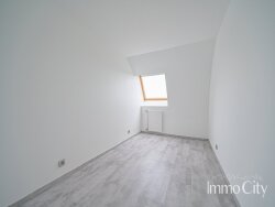 photo8