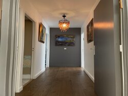 photo7