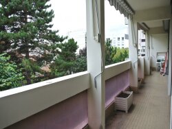 photo7