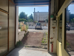 photo2