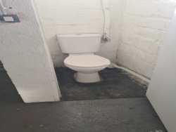 photo8