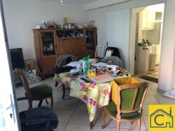 photo1