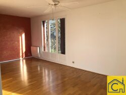 photo2