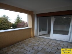photo3