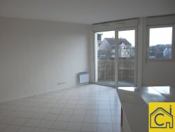 photo6