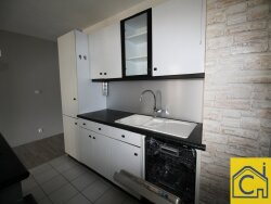 photo7
