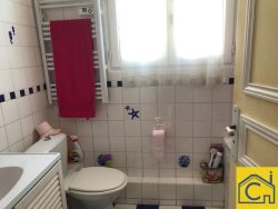 photo8