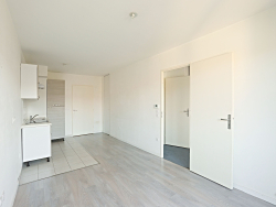 photo8