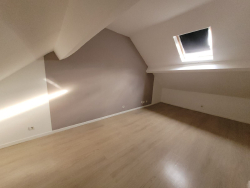 photo11