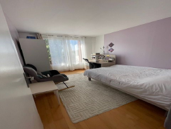photo6