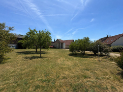 photo7