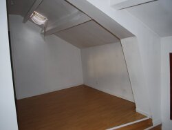 photo7