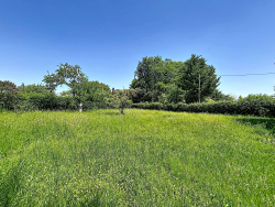 photo5